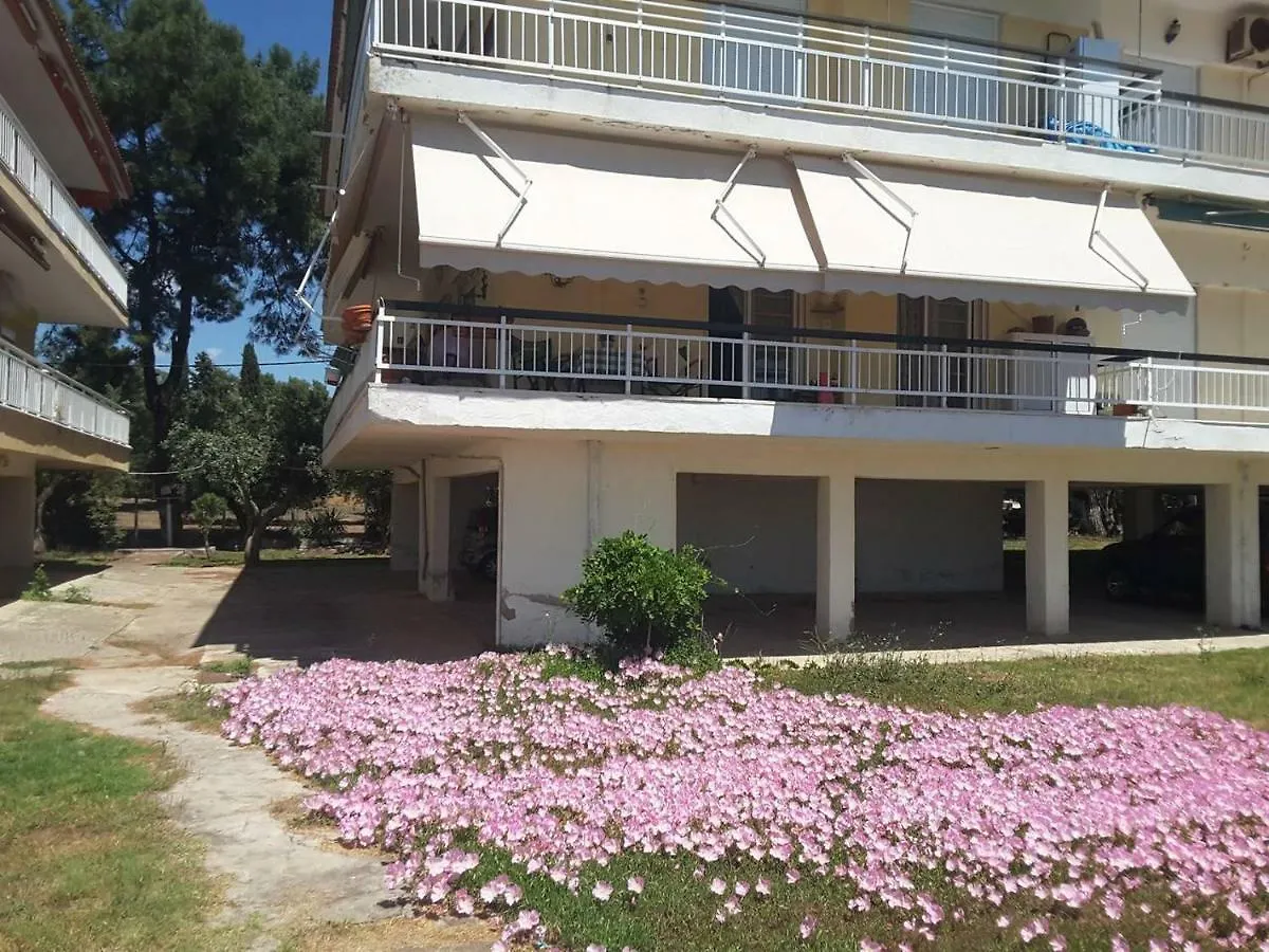 Metamorphosis - Halkidiki Apartment On The Beach Metamorfosi  Greece